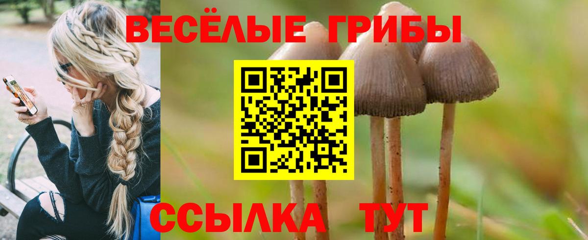 закладка  Псилоцибиновые грибы Magic Shrooms  Вход с VPN  Надым 